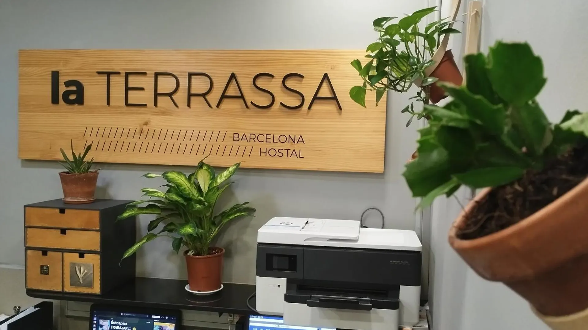 Guest house Hostal La Terrassa
