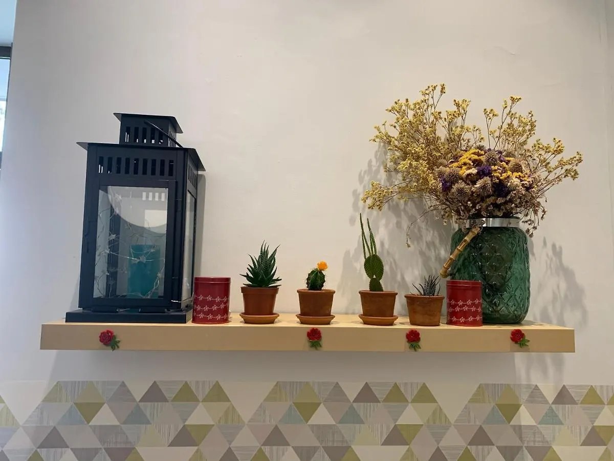 Hostal La Terrassa Barcelona Gæstehus